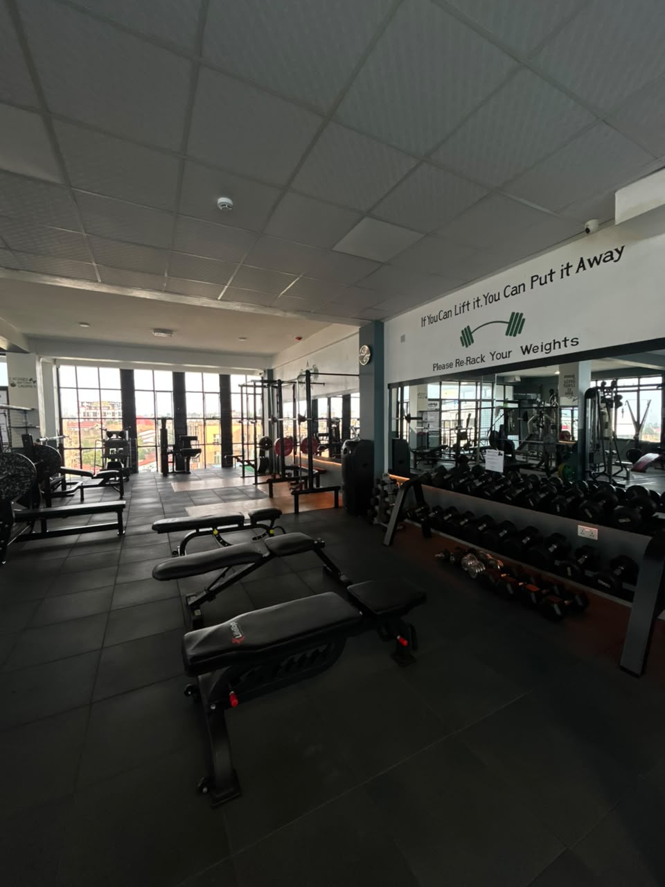 Free weights and dumbbell rack